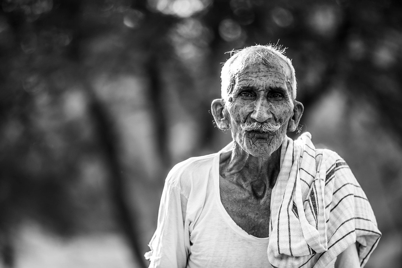 Ingrédients Clés de la Cuisine du Sud de l'Inde