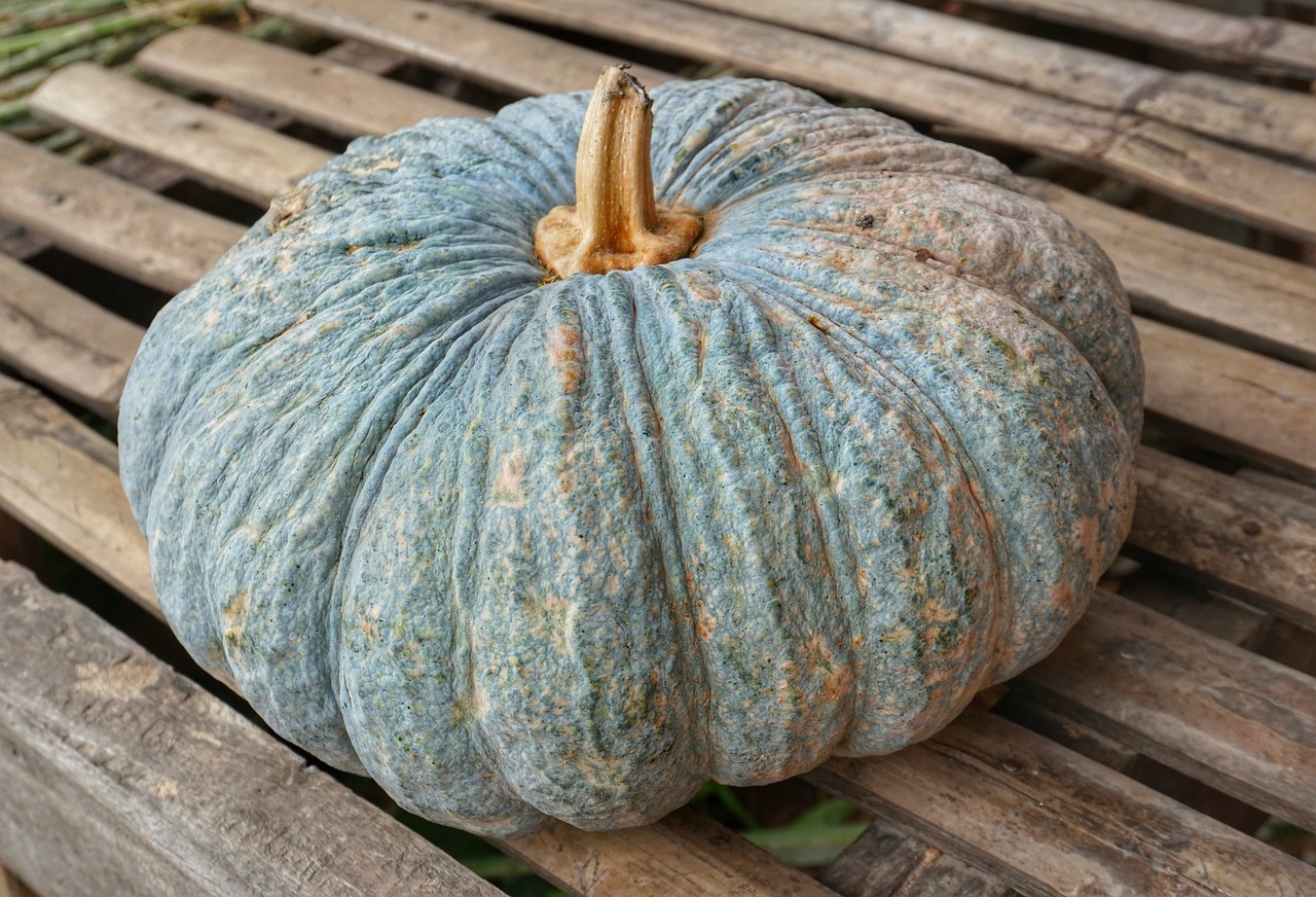 Sopa de Calabaza Inglesa