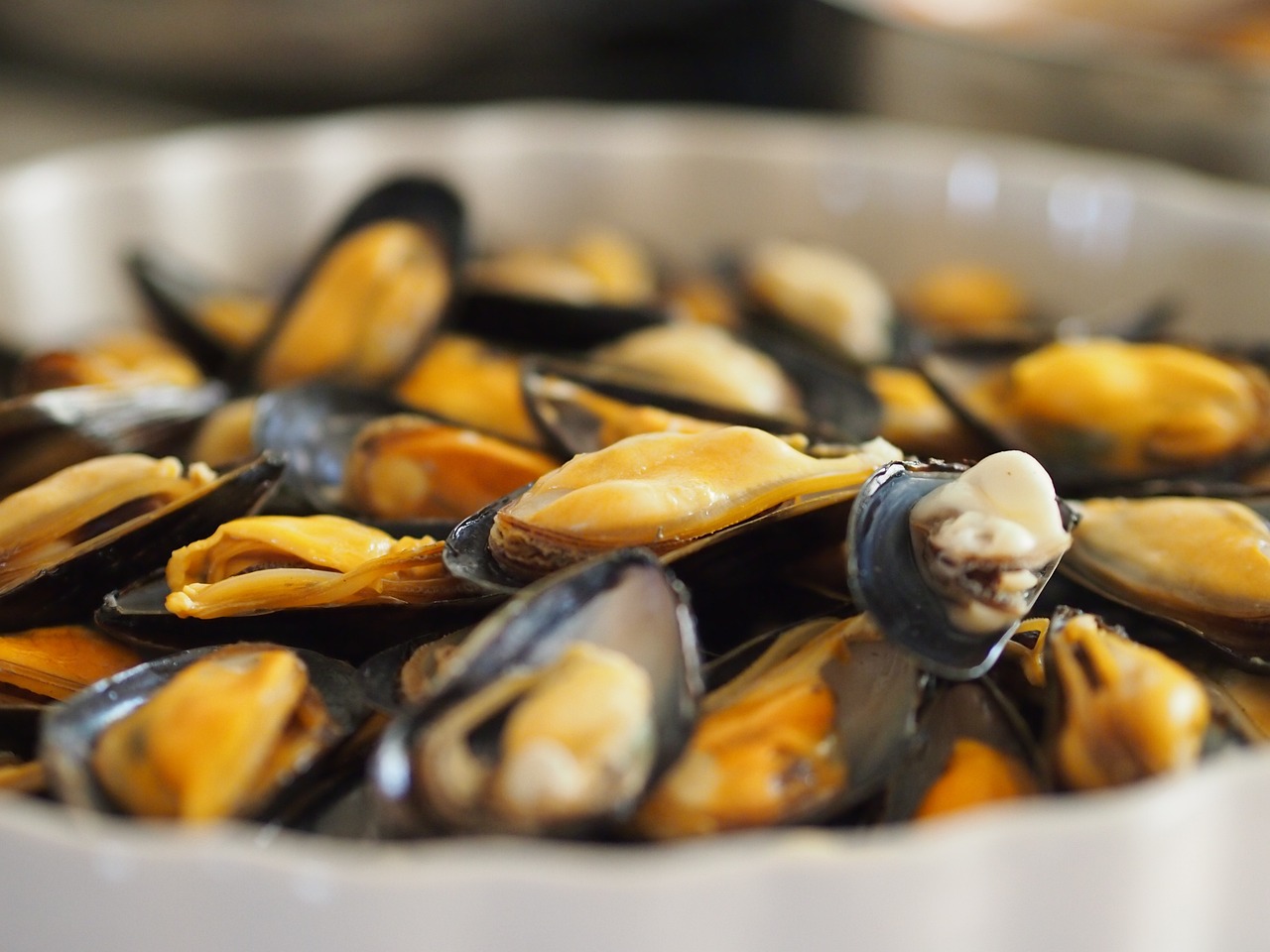 Recette de fricassée aux fruits de mer français