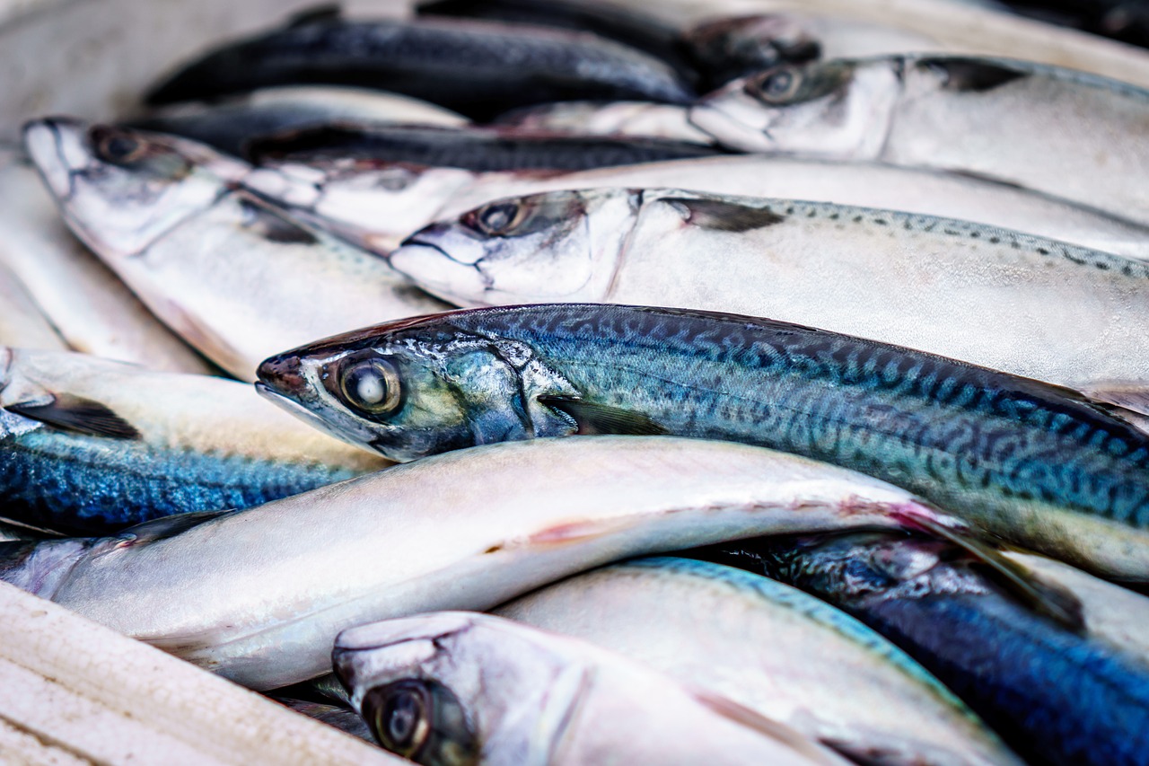 Popular Seafood Burger Varieties