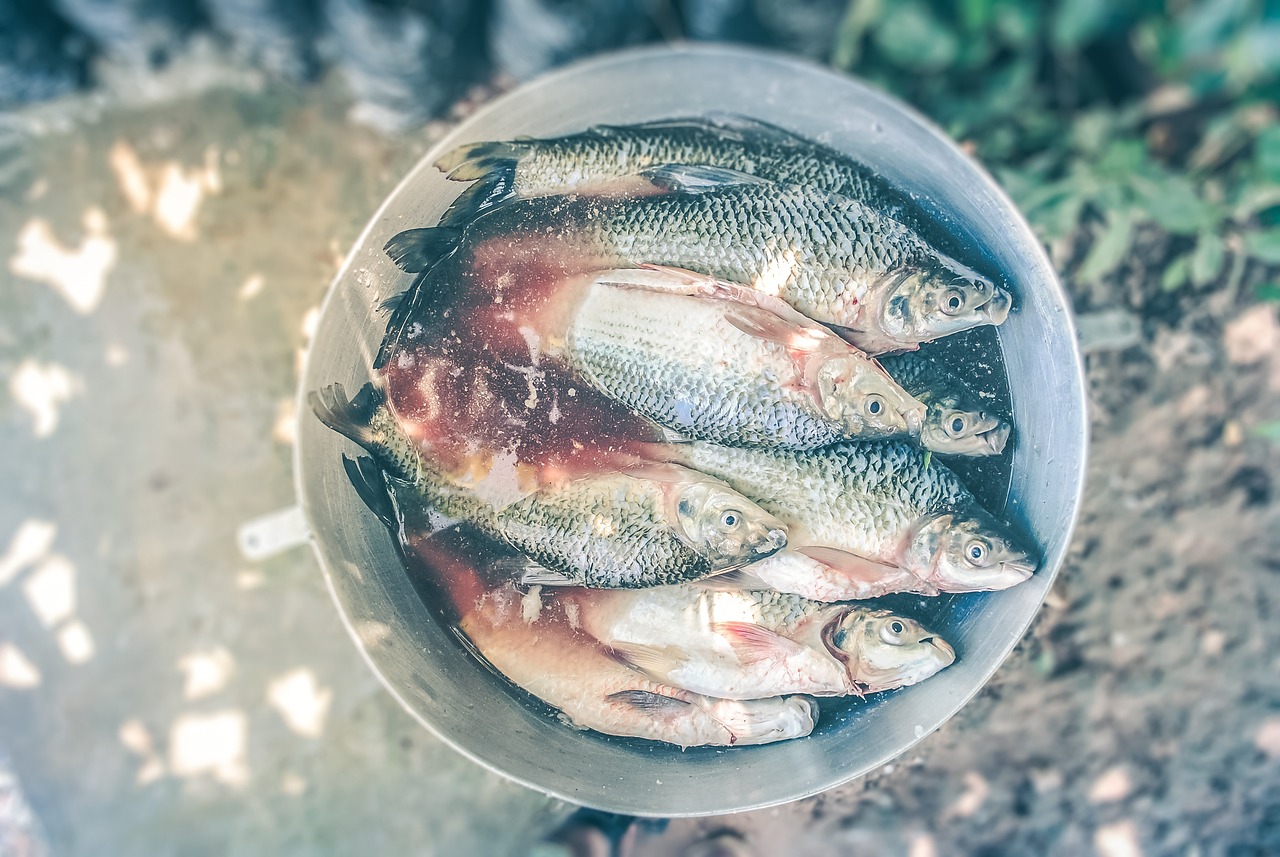 Receta de ratatouille de mariscos francesa