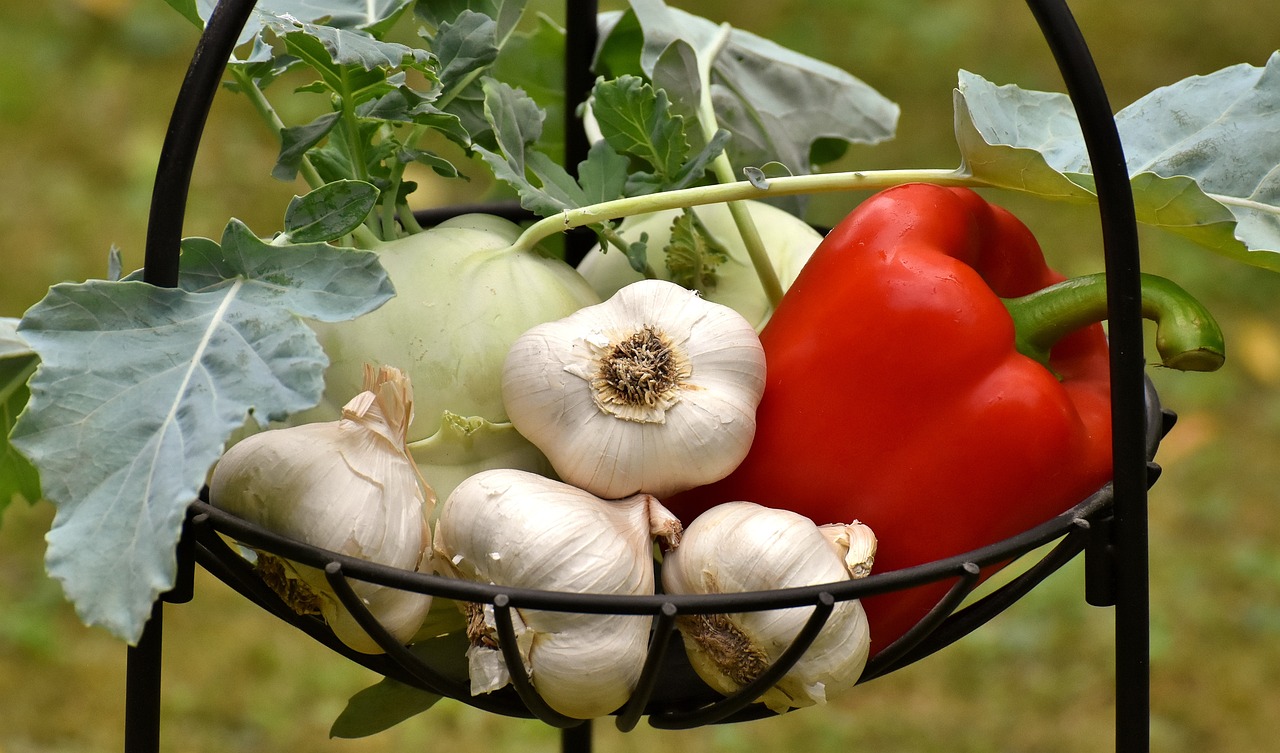 Customizing Your Salad