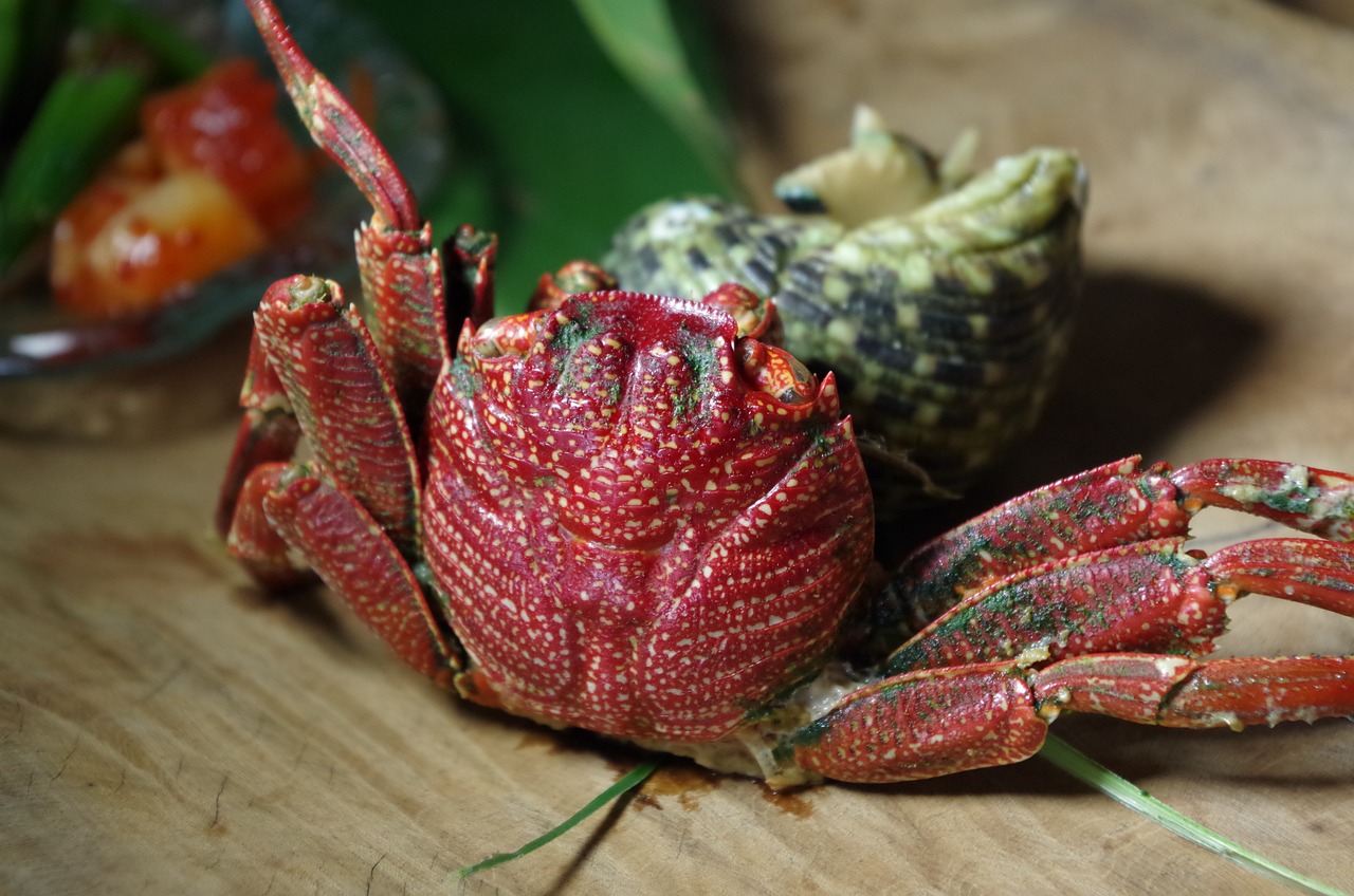 Key Ingredients in Baja Style Fish Tacos