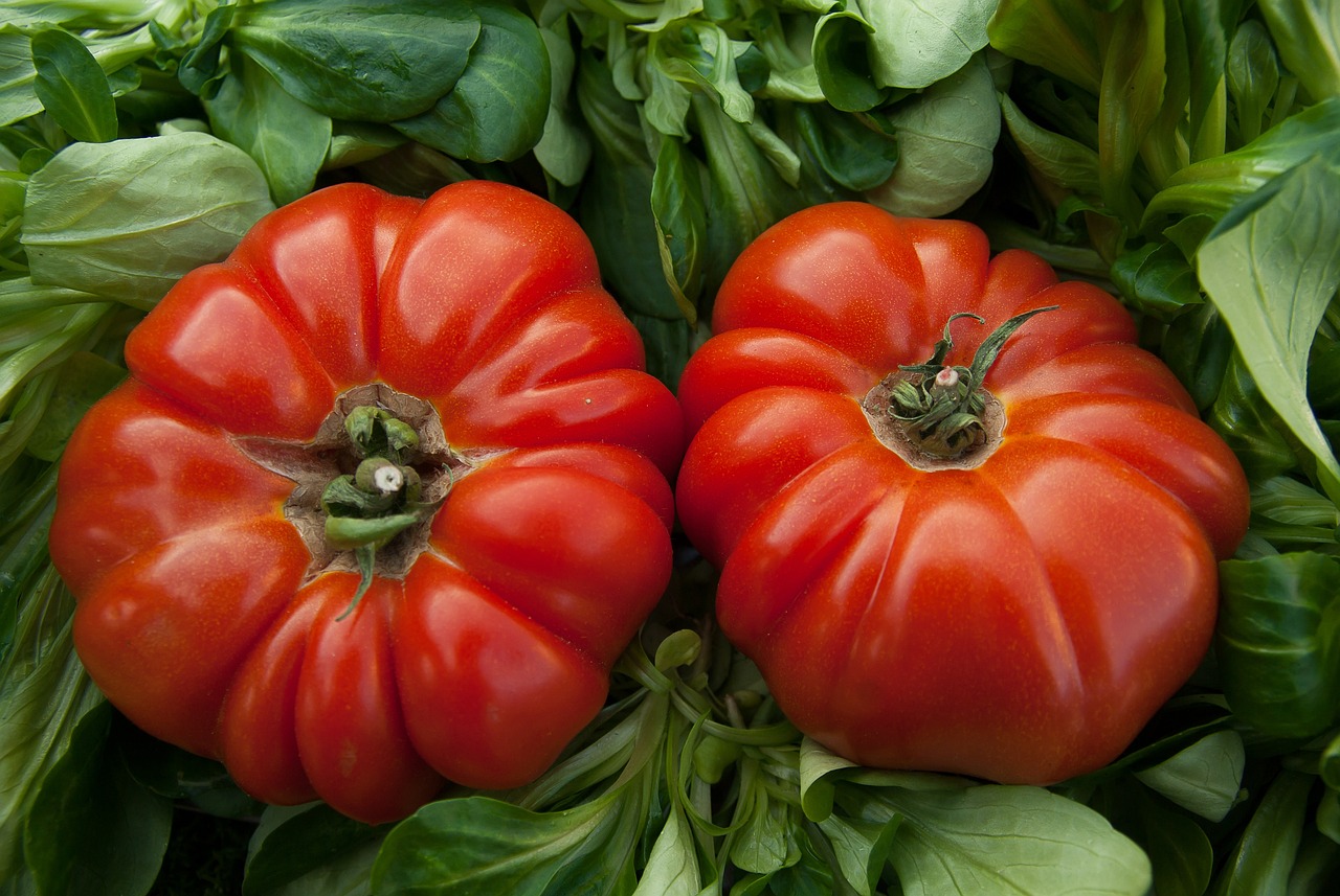 Ensalada de Tomate y Pepino: Sencillez y Frescura