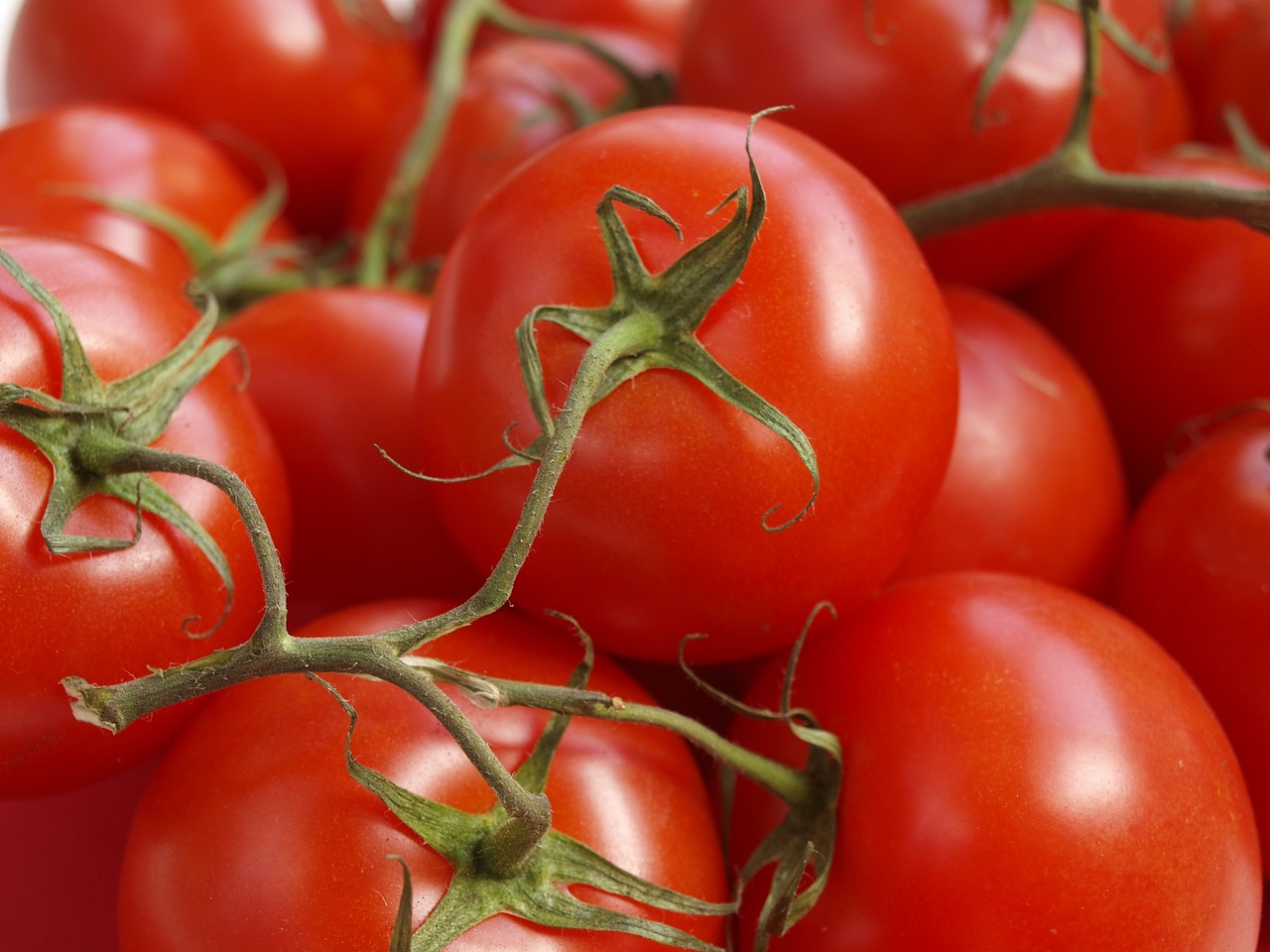 Gazpacho y Otras Sopas Frías: Deliciosos Platos Refrescantes de la Cocina Española