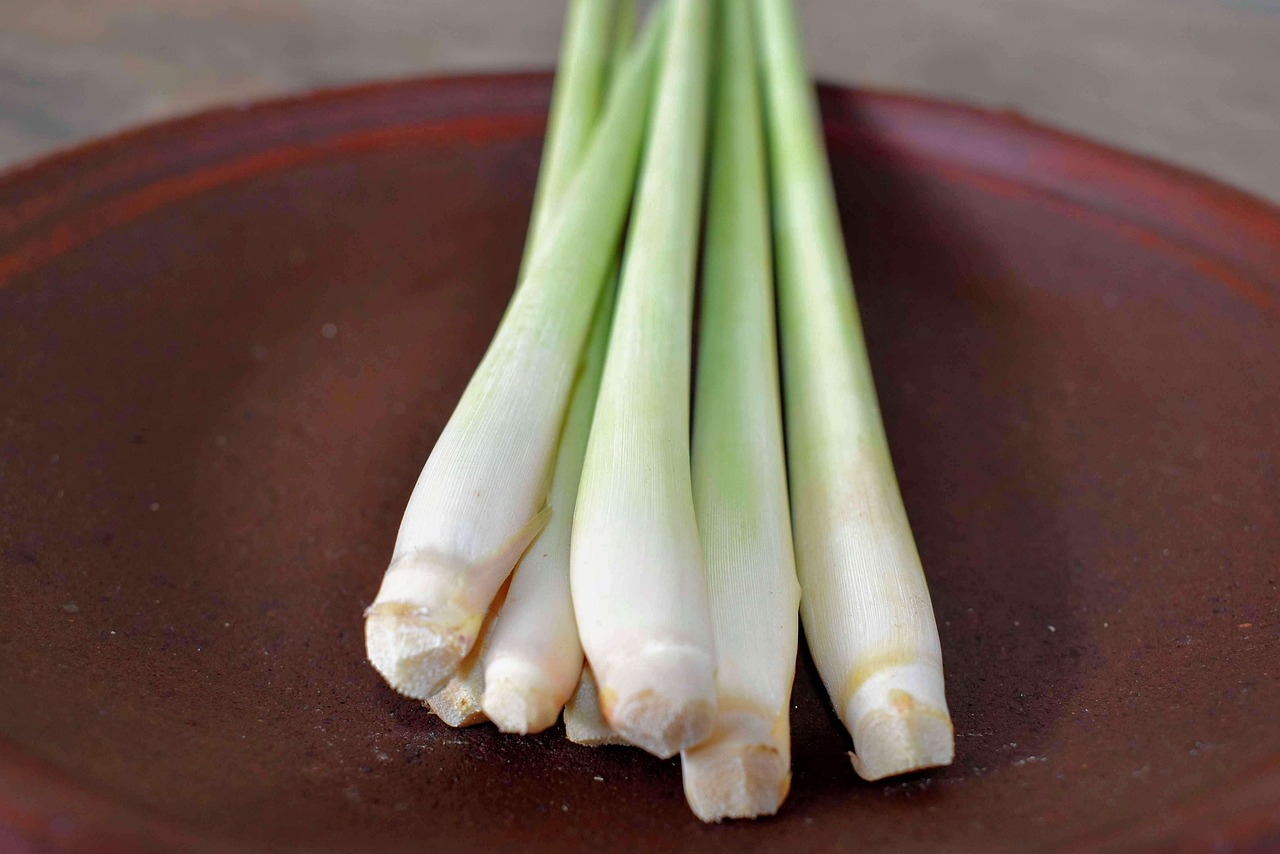 Receitas Criativas com Lemongrass