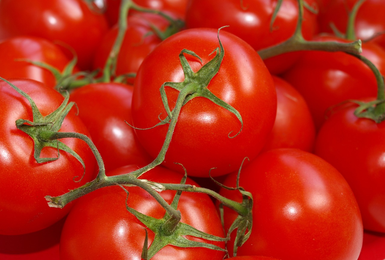 Gazpacho Espagnol