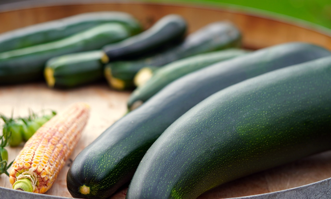 Hambúrguer de abobrinha crocante: Aproveite os vegetais de verão