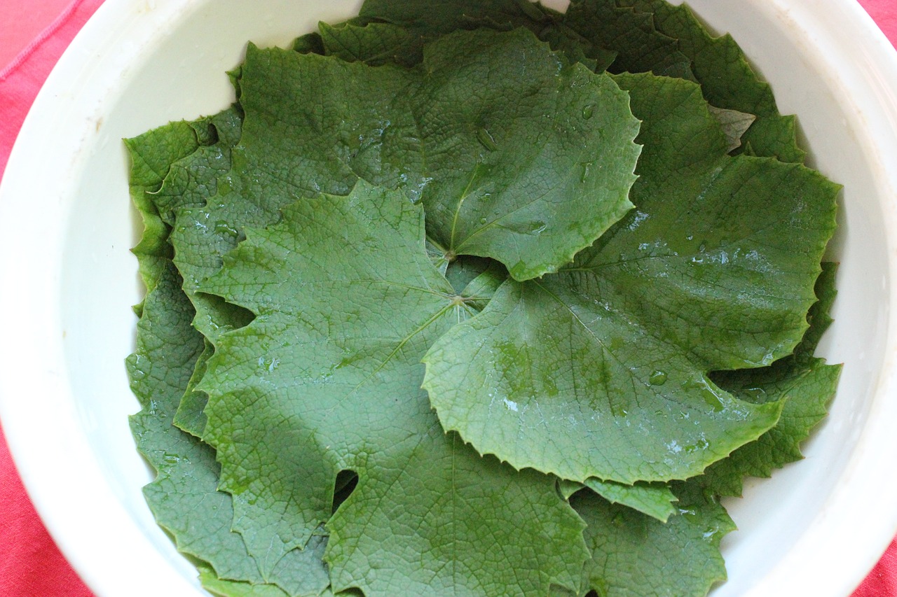 Dolmades: Grape Leaves Stuffed with Rice and Herbs